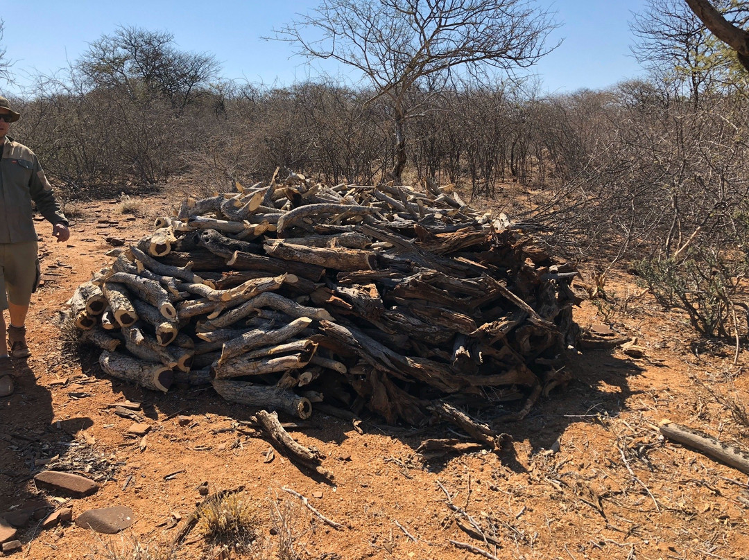 Haasenhof Guestfarm主图