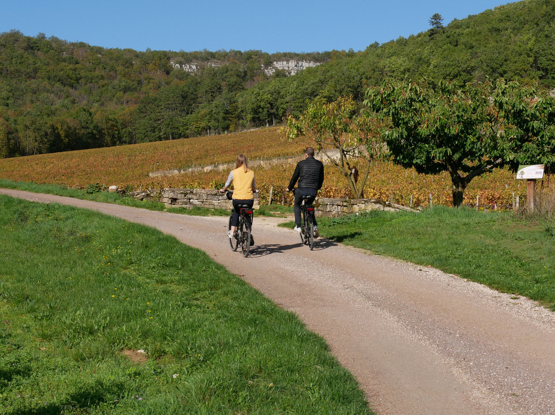 Burgundy Bike-Brochon必去景点