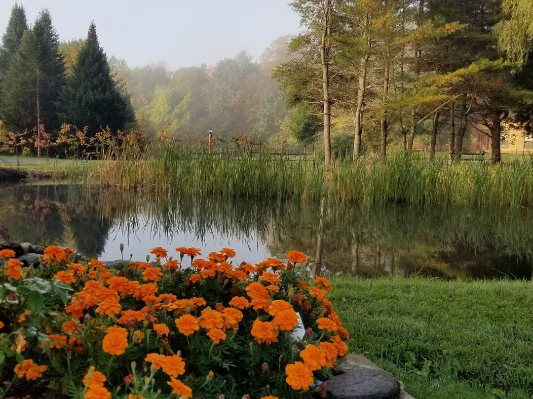 The Four Columns Inn And 1832 Tavern主图