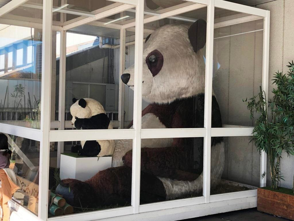 Giant Panda Statue景点图片