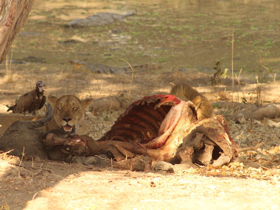 the Bush-Spa-南卢安瓜国家公园必去景点