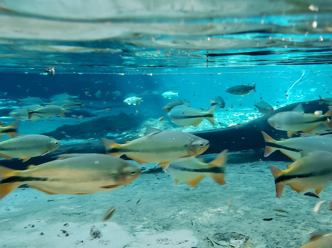 Pousada Reino Encantado主图