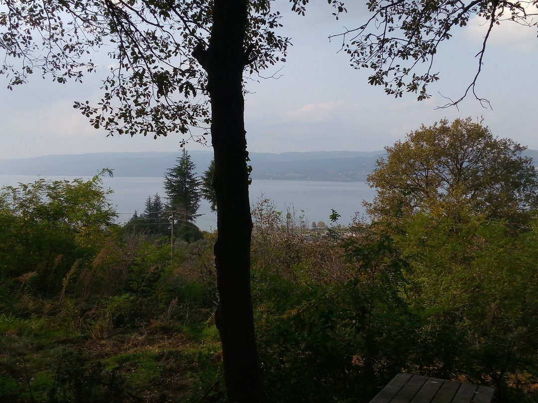 Sakarya Il Ormani Tabiat Parki-Sapanca必去景点