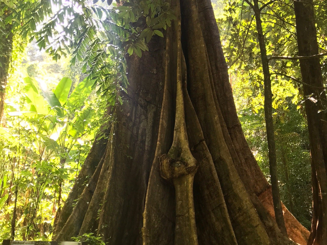Kian Bay-瑶诺岛必去景点