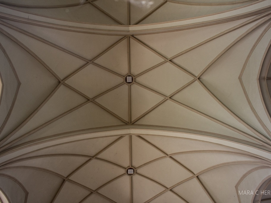 Igreja Matriz Sao Sebastiao Martir景点图片