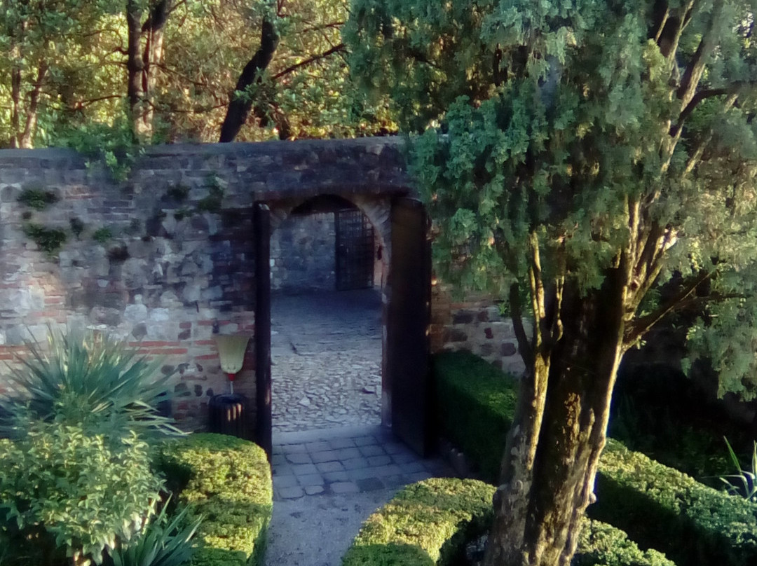 Casa del Petrarca景点图片