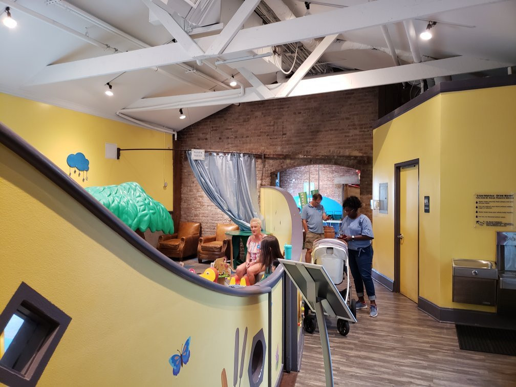 Children's Museum of the Lowcountry景点图片