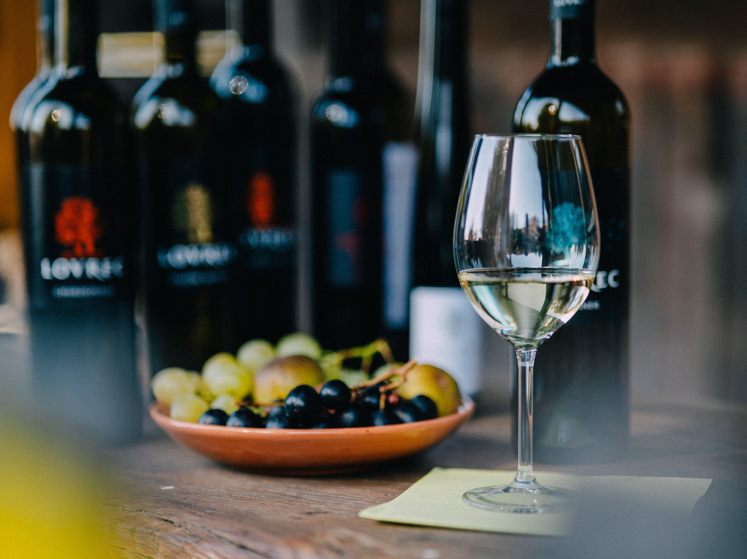 Vino Lovrec: organic winery景点图片
