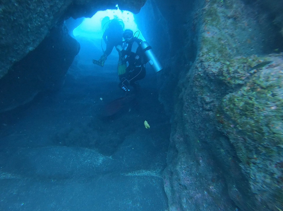 Calheta Diving Center-卡列塔必去景点
