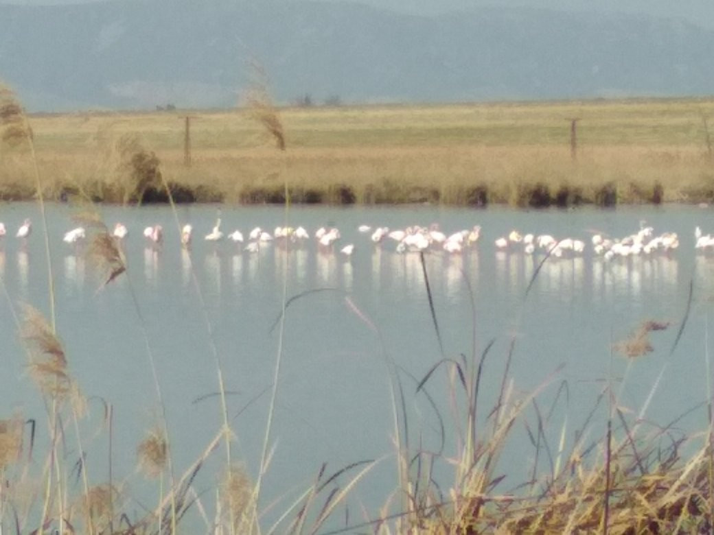 Laguna Navaseca景点图片