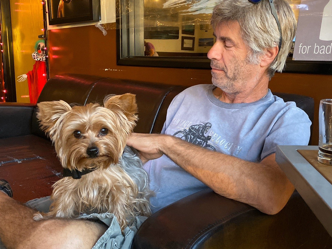 Left Coast Brewing-圣克莱蒙顿必去景点