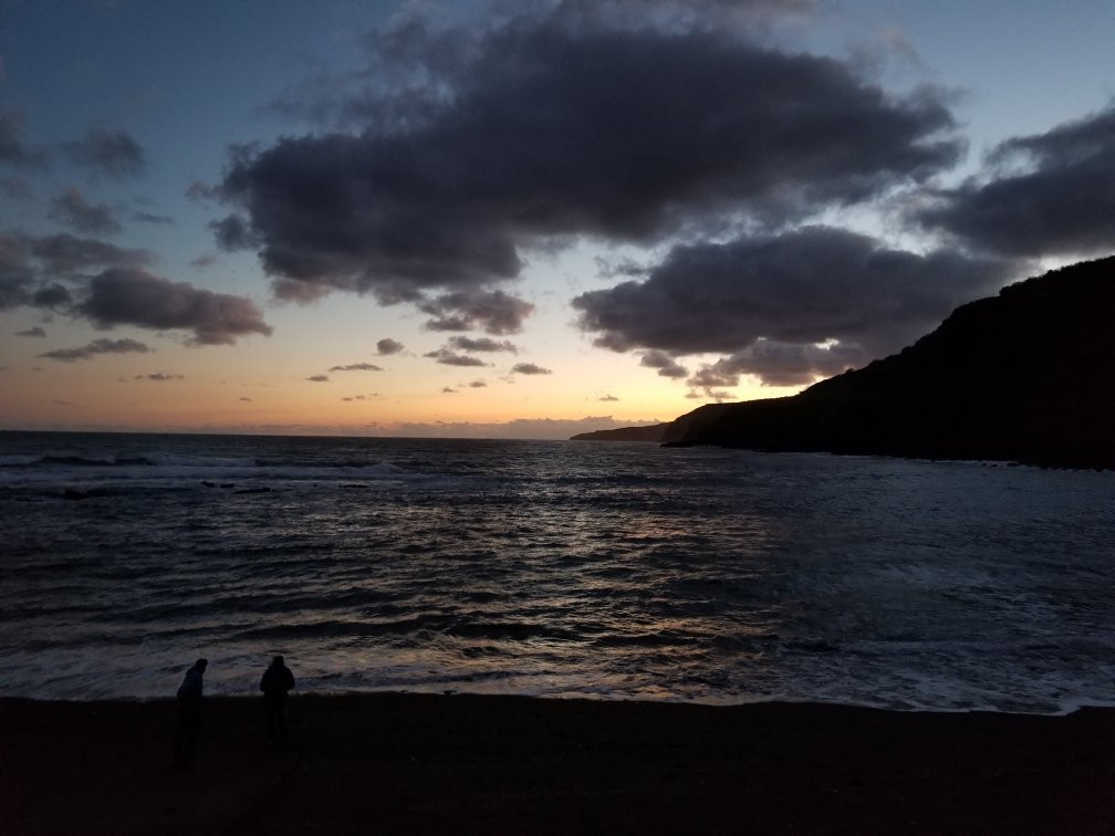 North Shore Sea Tours景点图片