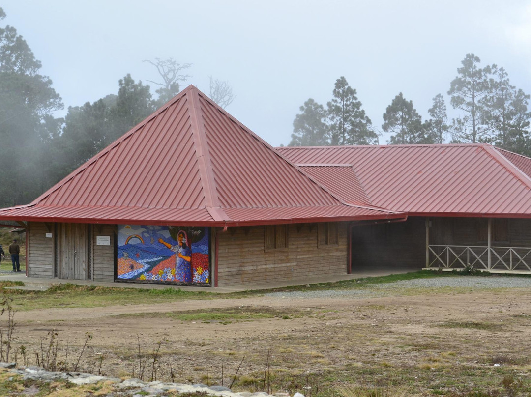 Parque Nacional Valle Nuevo景点图片