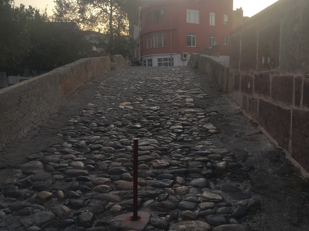 Tas Kopru景点图片