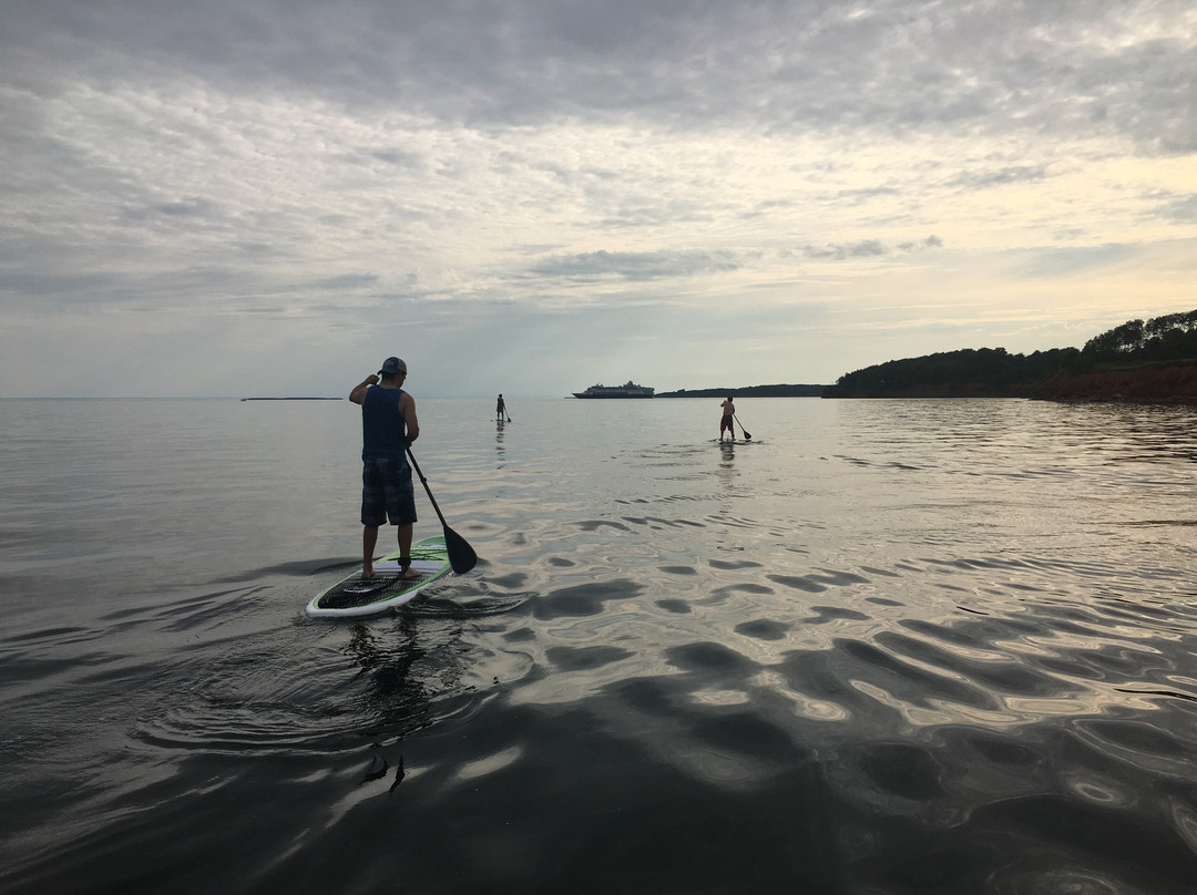 Island Paddleboard Adventures