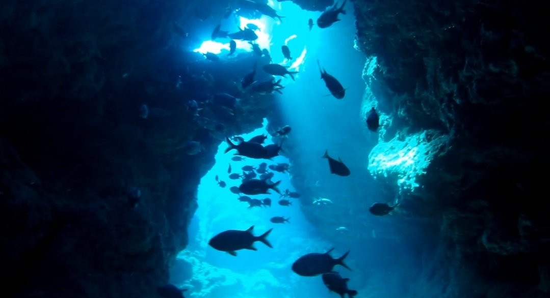 TEERA SCUBA VENTURES, OKINAWA-名护市必去景点