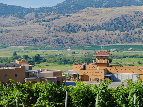 Sagebrush Tours-基洛纳必去景点