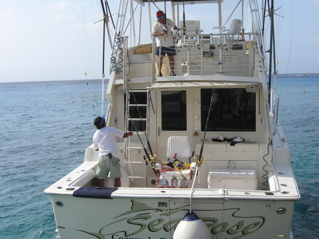 Cozumel Charters景点图片