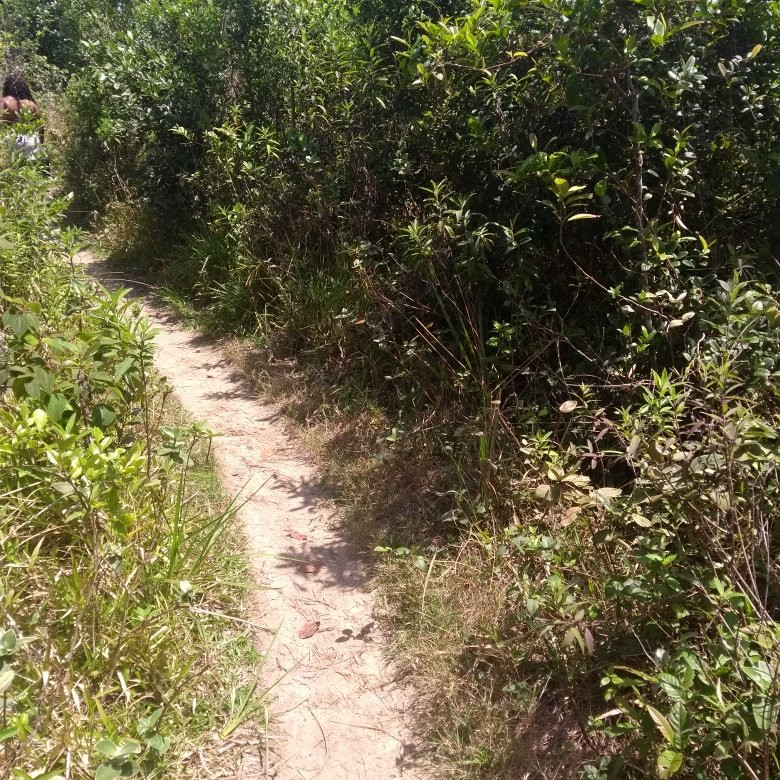 Pousada Bioventura主图