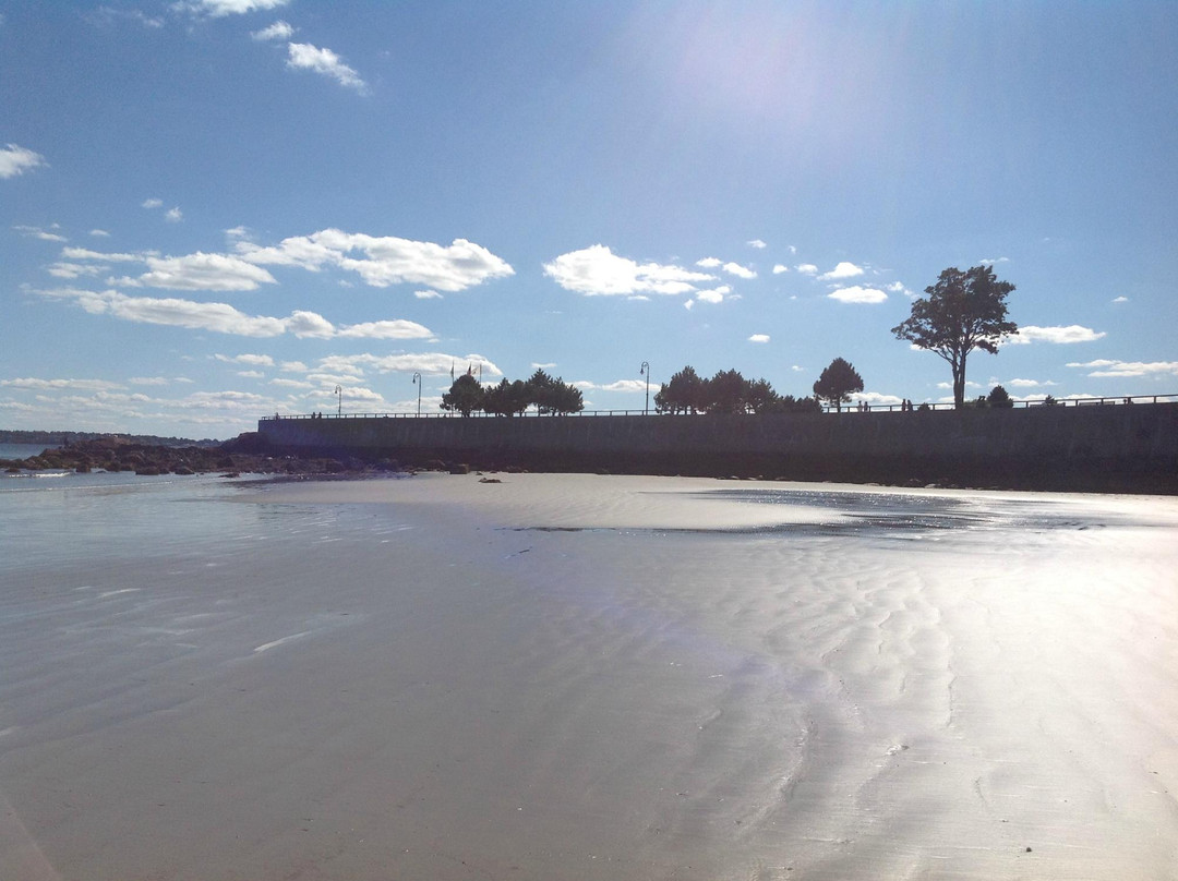 Lynn Shore-Lynn必去景点