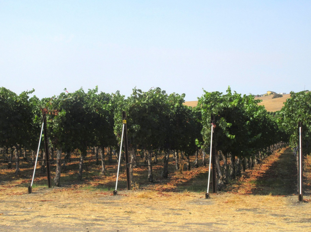 Cedar Mountain Winery & Port Works-利佛摩必去景点