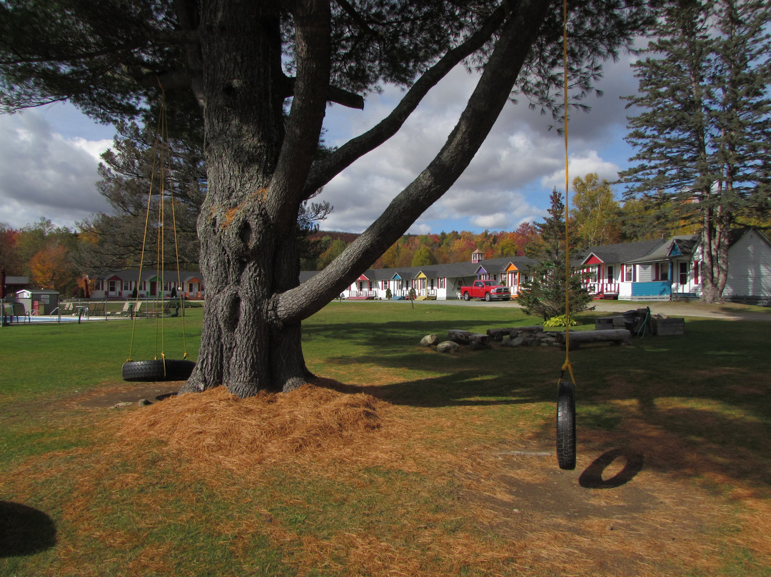 Mount Jefferson View主图