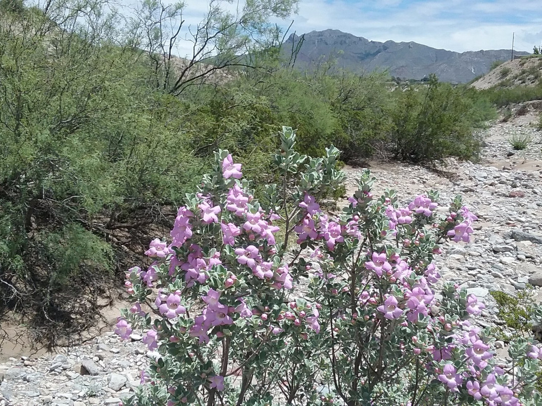Wakeem/ Teschner Nature Preserve at Ressler Canyon景点图片