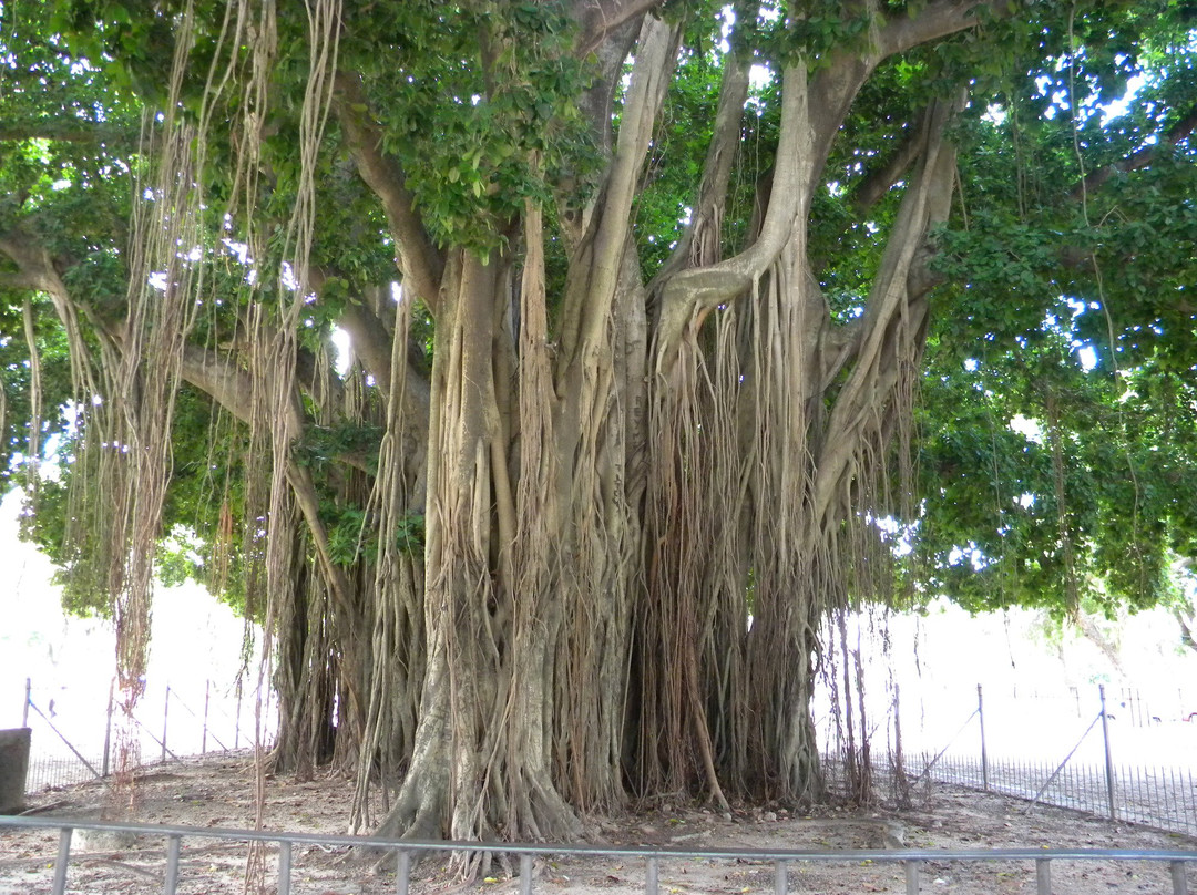 Santa Ana de los Guacaras旅游攻略图片