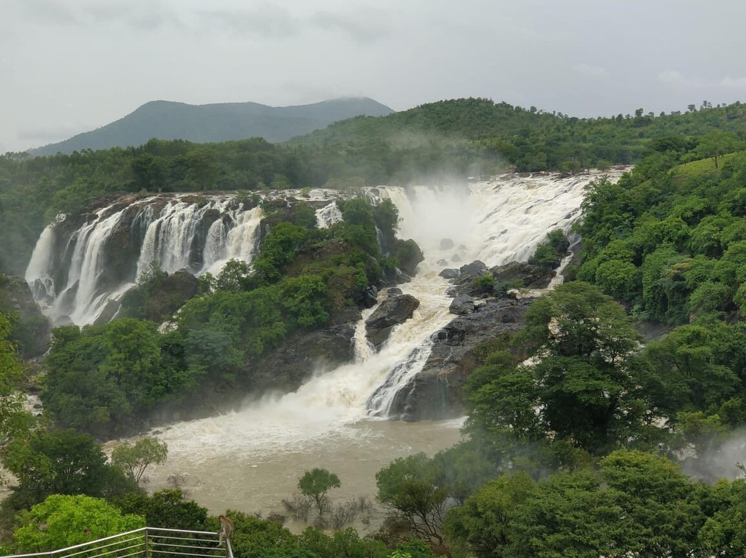 Shivanasamudra Falls景点图片