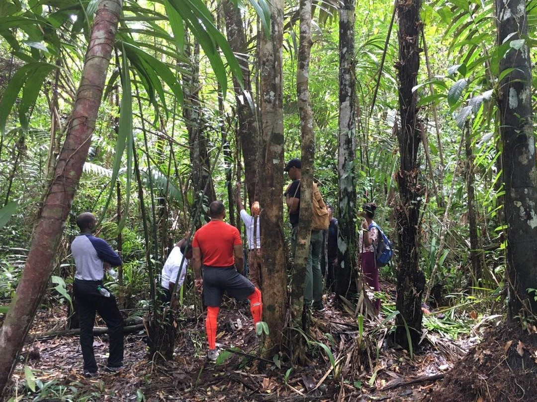 Wanderlust Adventures GY-乔治城必去景点