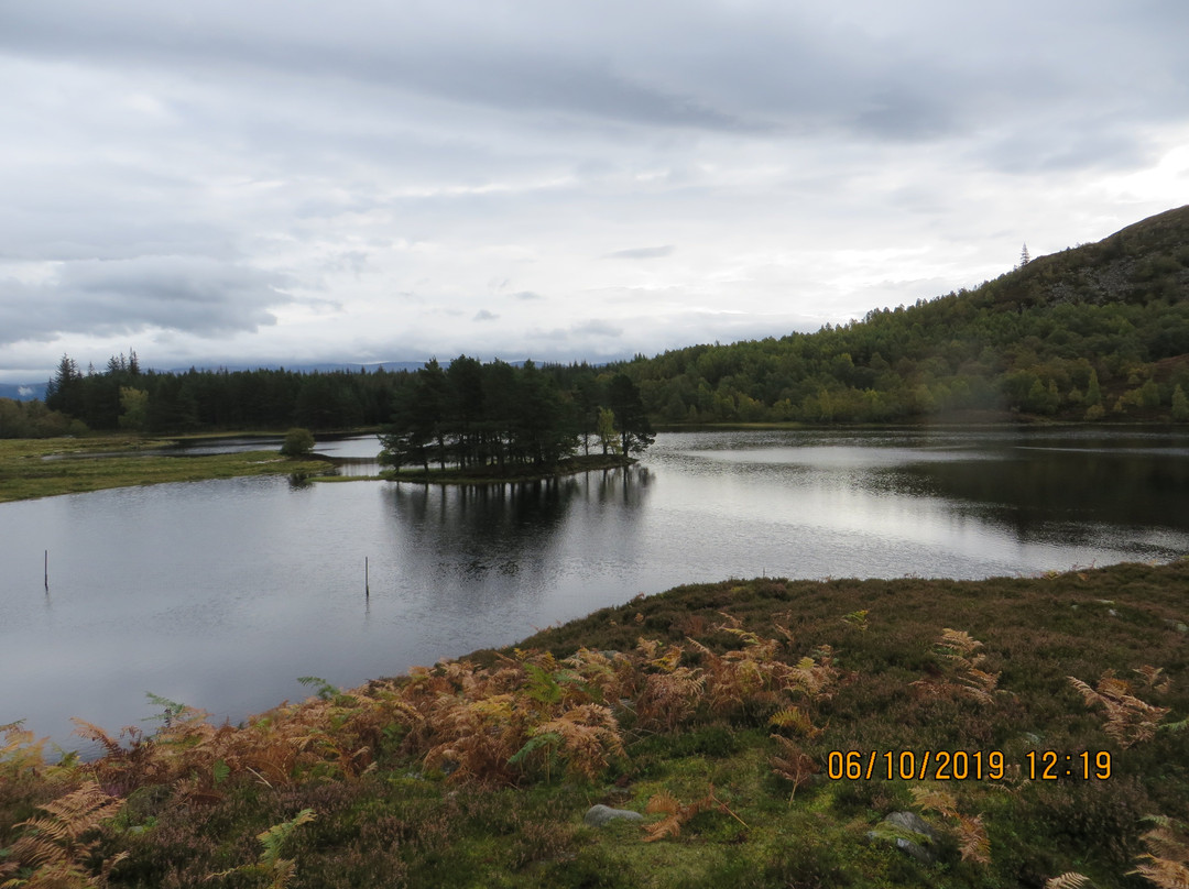 Loch Gynack景点图片