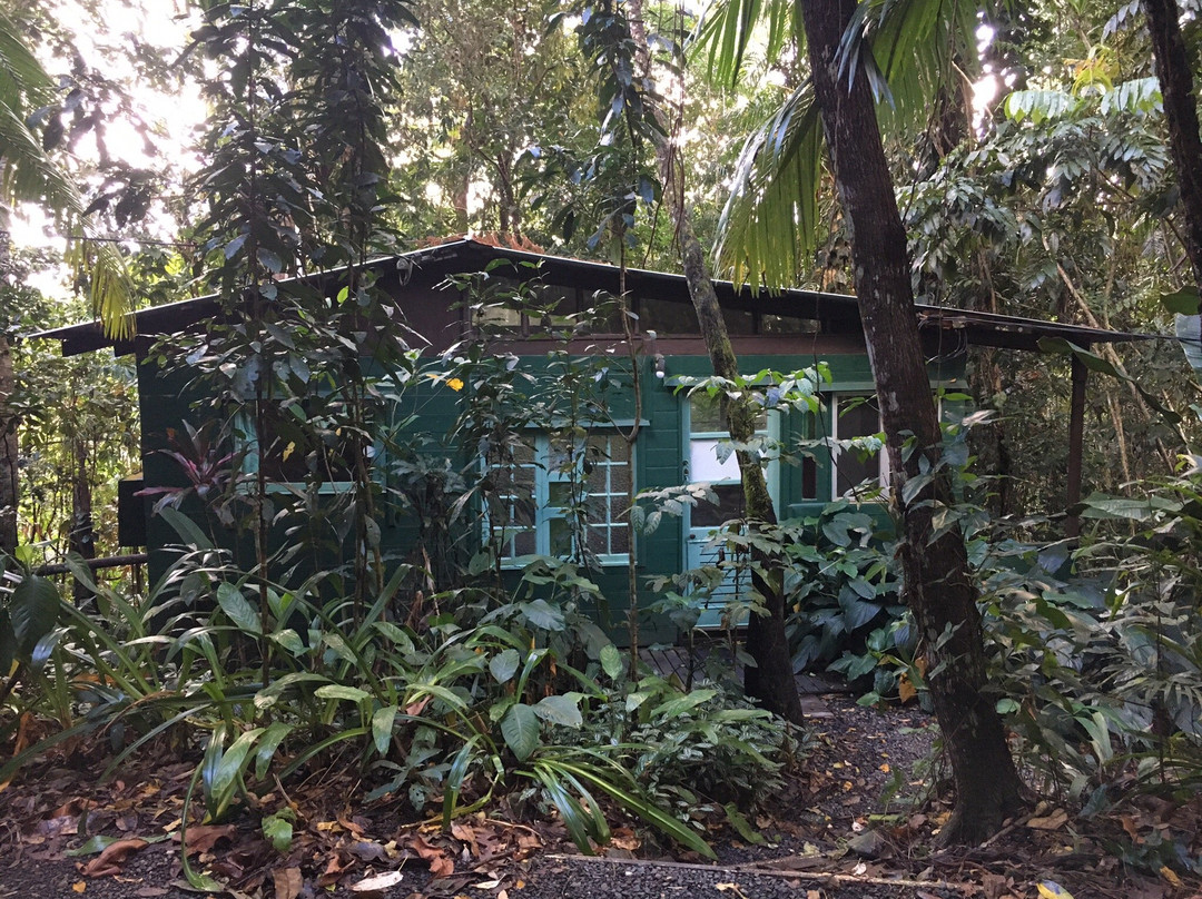 Cassowary House主图