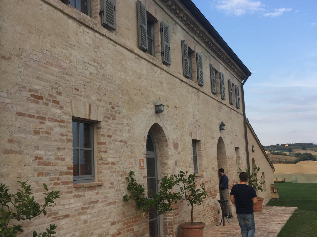 Tenuta Murola Cantina景点图片
