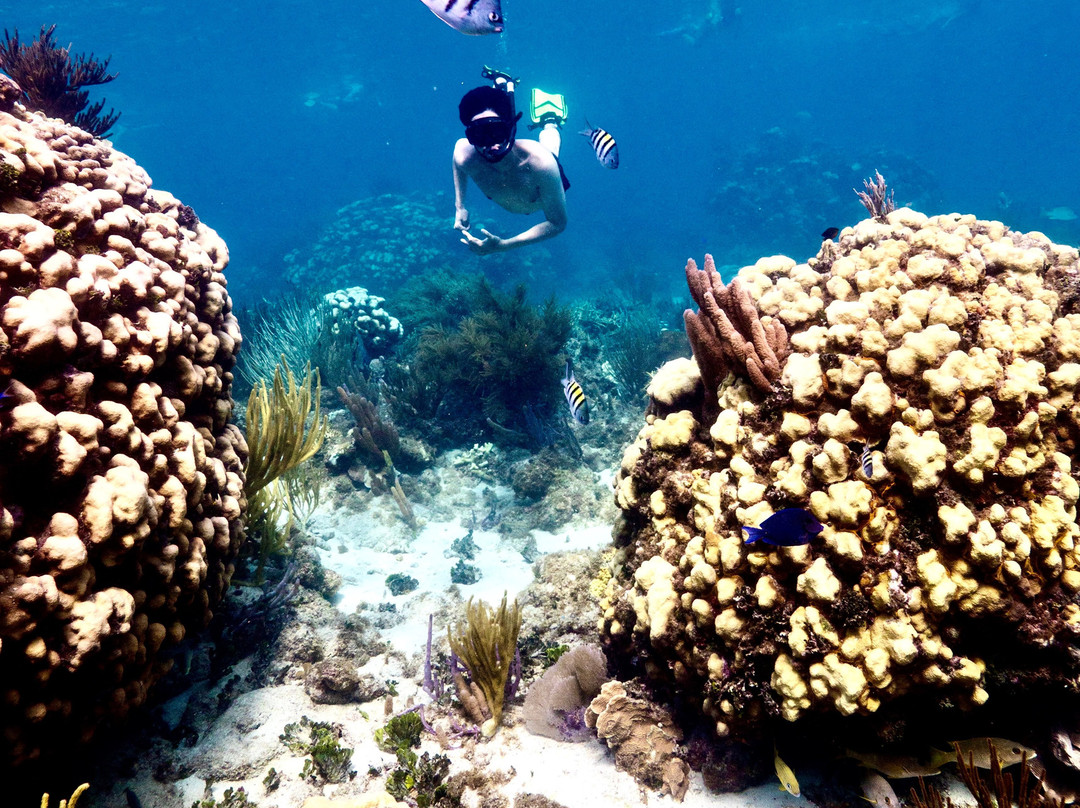 Crazy Crab Private Boat Charters-Camana Bay必去景点