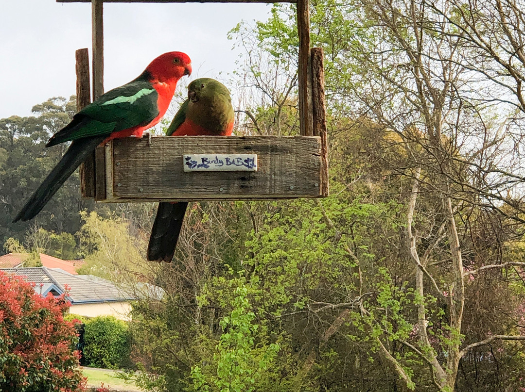 溶胶加勒比海花大酒店主图
