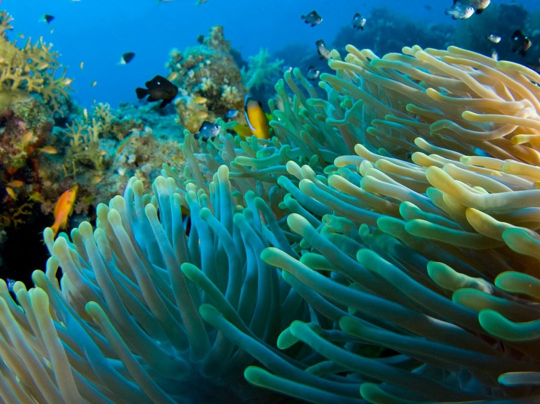 Fanhaa Guest House主图