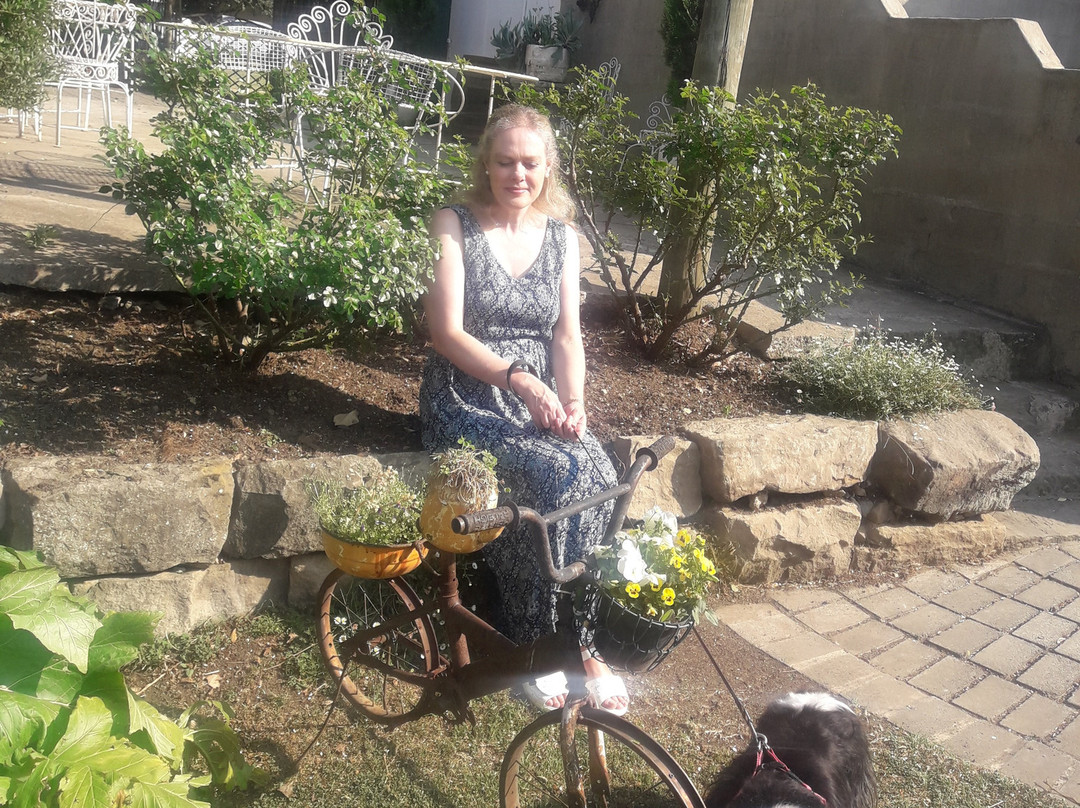 Green Lantern Inn Hotel & Gardens主图