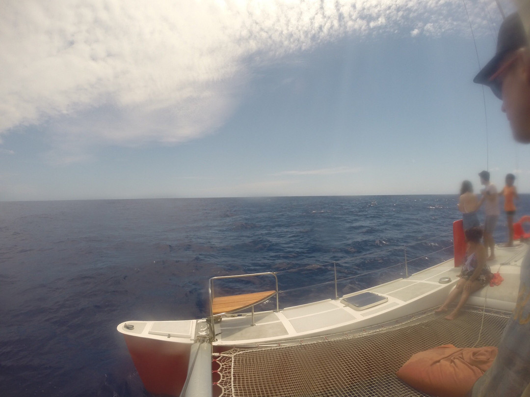 Ocean Dream Croisieres Catamaran Catalize景点图片
