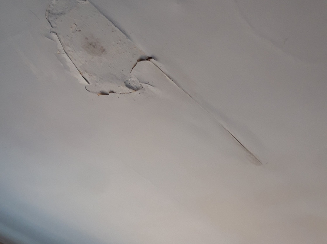 The Avenue Hotel主图