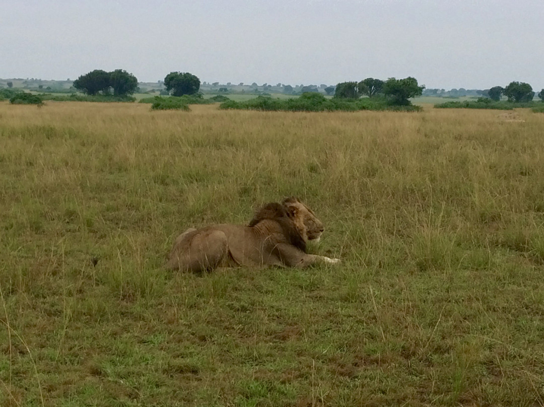 Fazil Safari Guide Uganda+-Katunguru必去景点