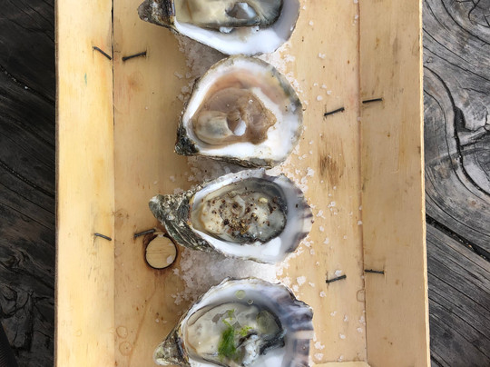 Balades iodées-康卡勒必去景点