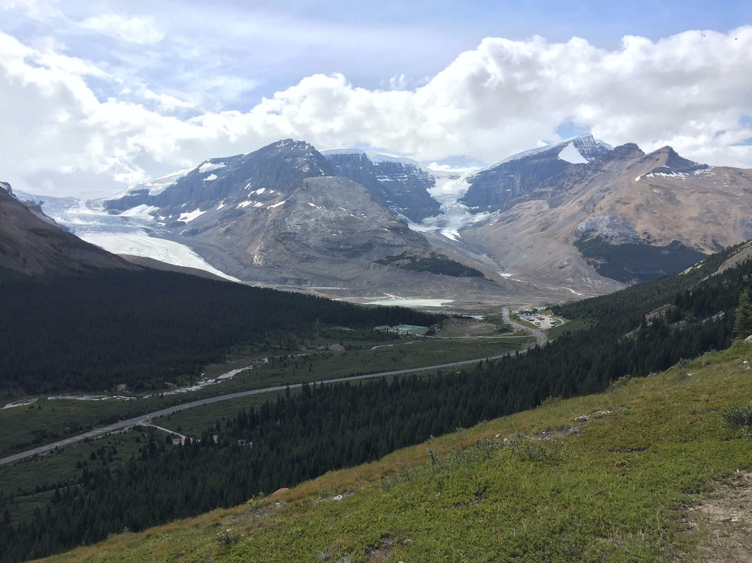 Wilcox Pass-贾斯珀国家公园必去景点