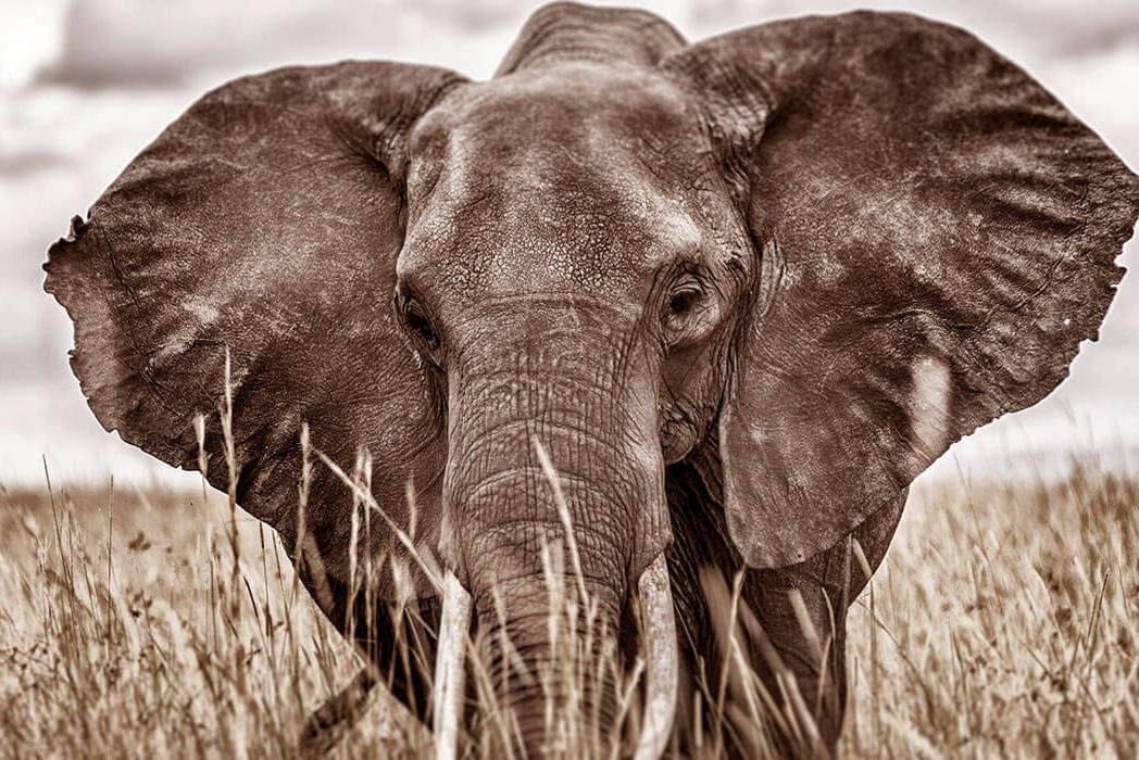 Unco Adventures-莫西必去景点