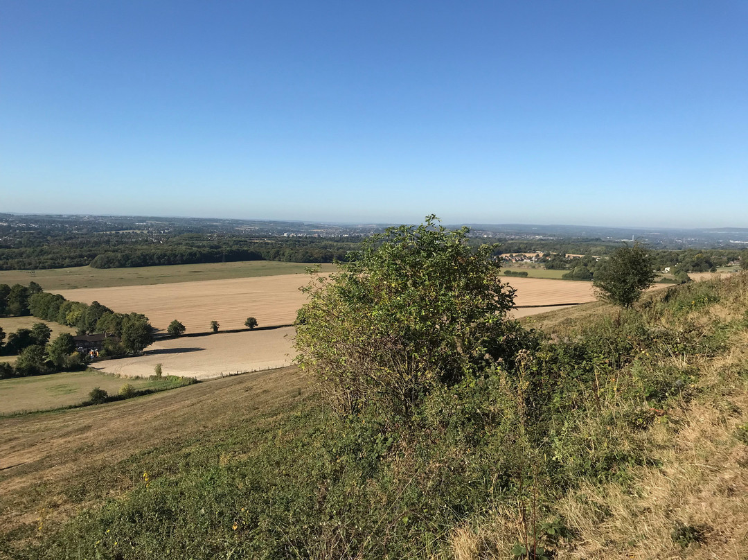 White Horse Wood Country Park景点图片