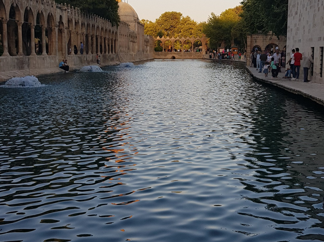 Sehrazat Konagi主图