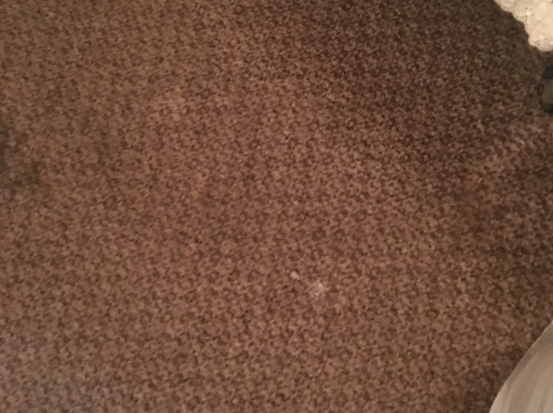 Fundy Line Motel & Restaurant主图