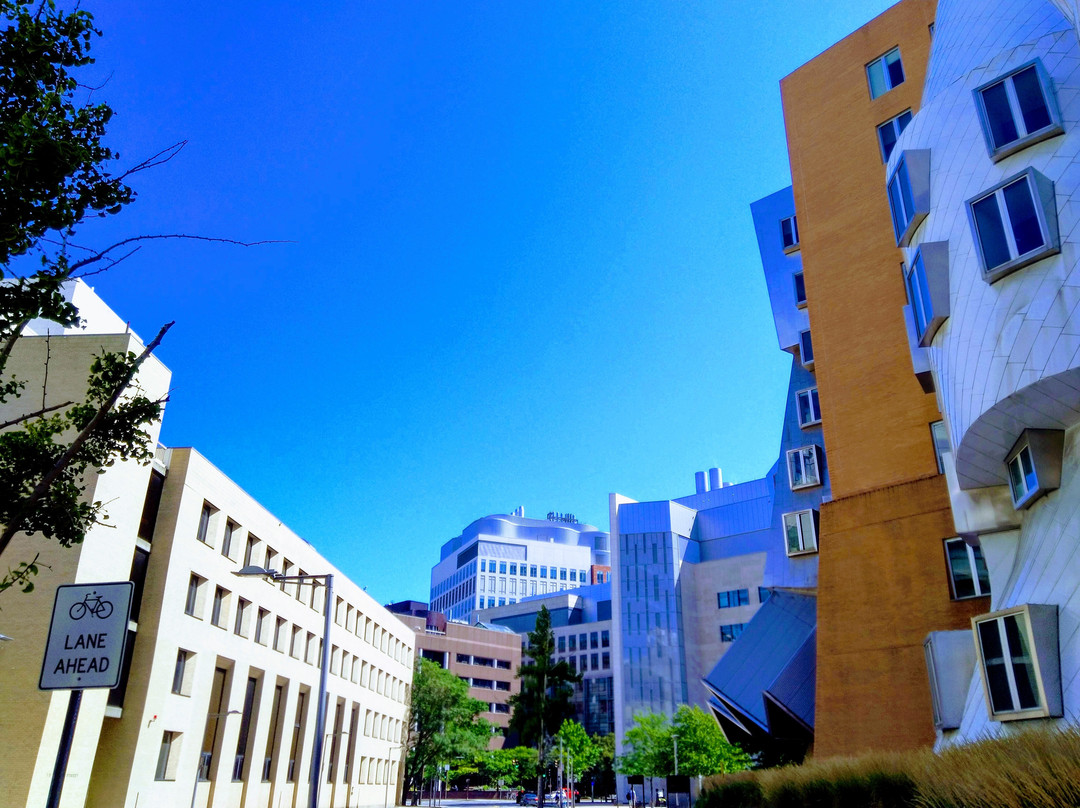 Stata Center景点图片
