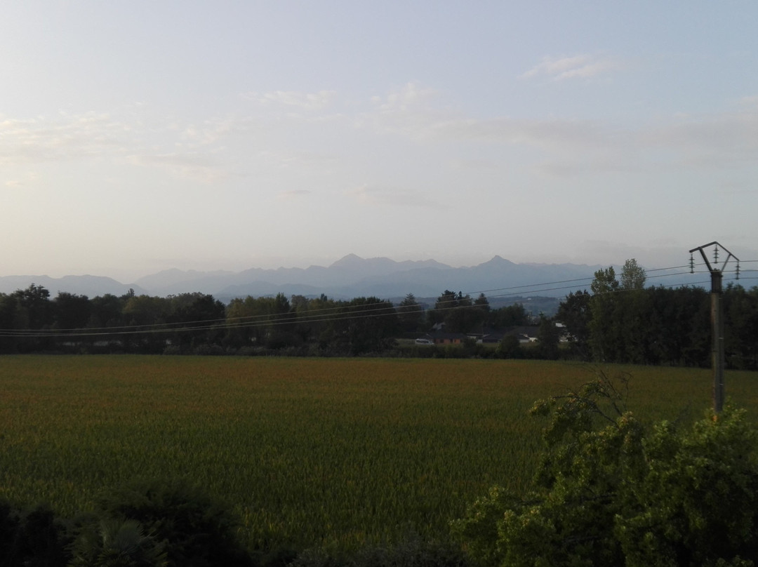 ibis Tarbes Odos主图