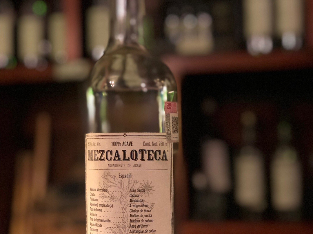 Mezcaloteca-瓦哈卡必去景点