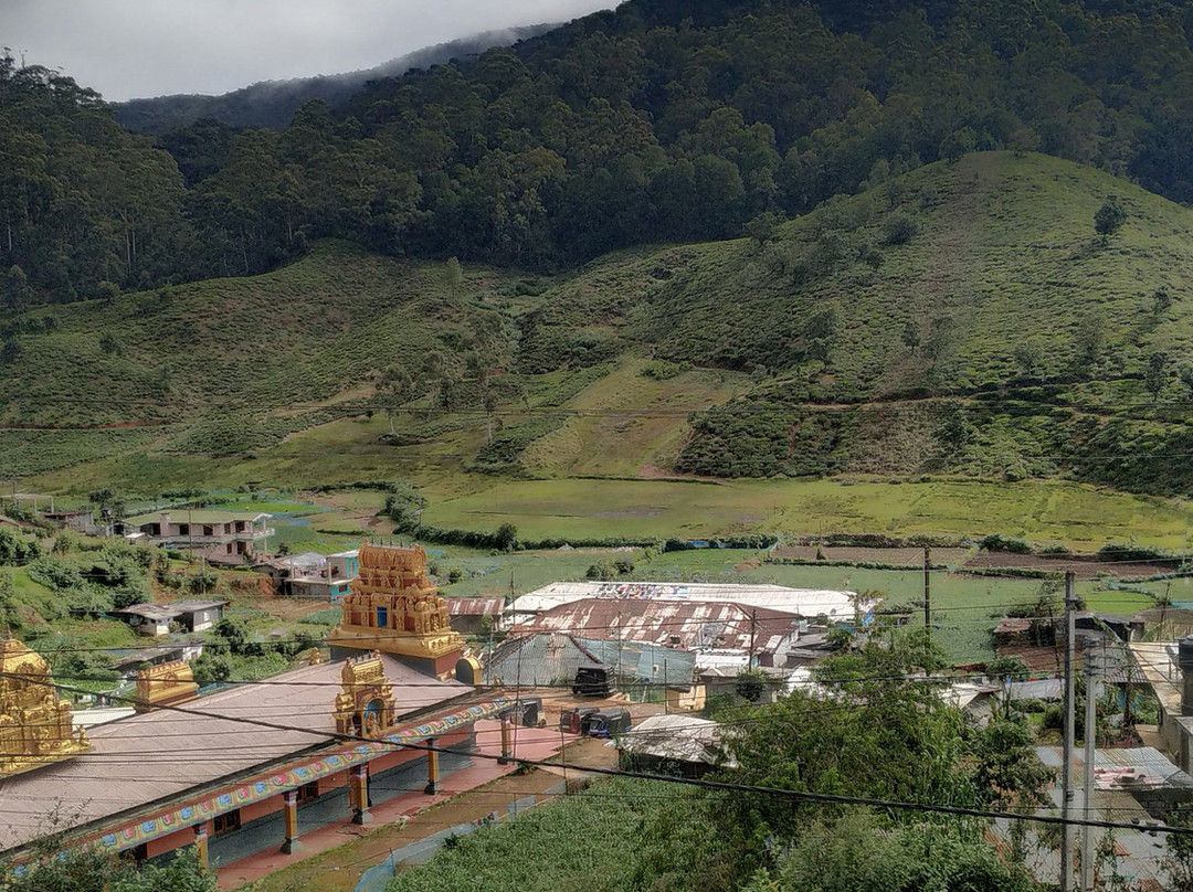 米迪基酒店主图